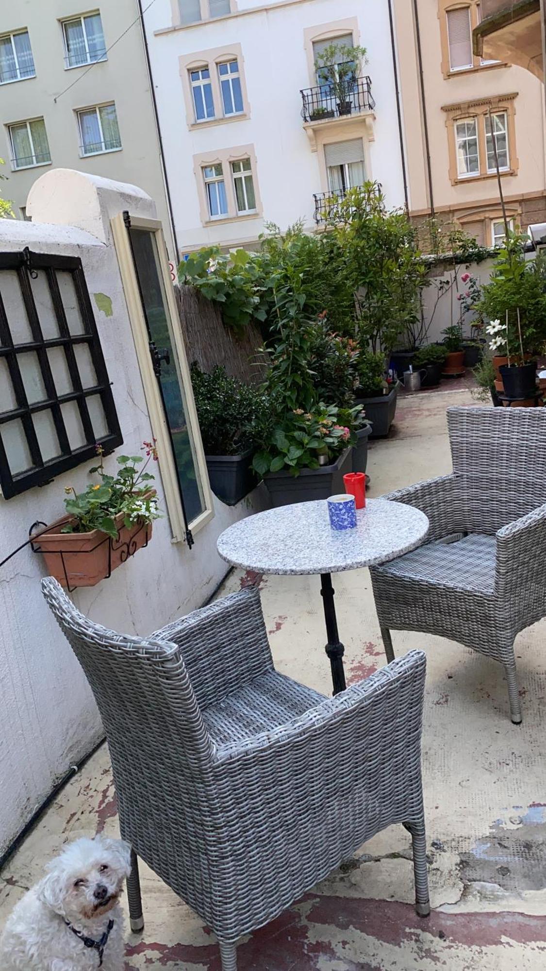 Georgian Guest Rooms بازل المظهر الخارجي الصورة